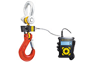 Wired Crane Scale with Attachable Display